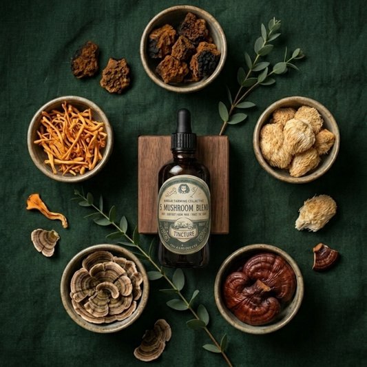 5 Mushroom Tincture - Nature's Blend