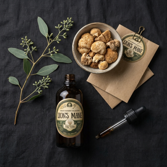 Lion's Mane Tincture