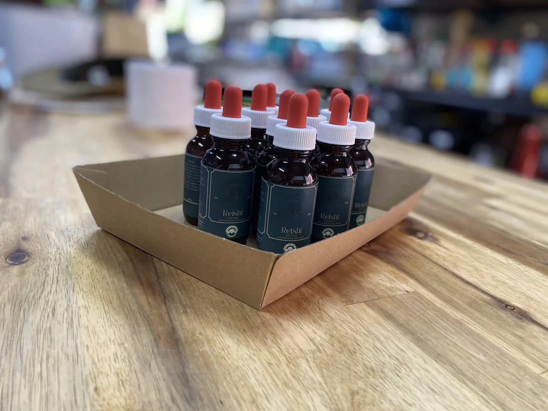 Experience the Power of Mushroom Tinctures for Natural Health