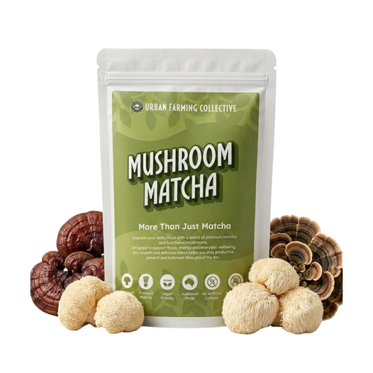 Mushroom Matcha