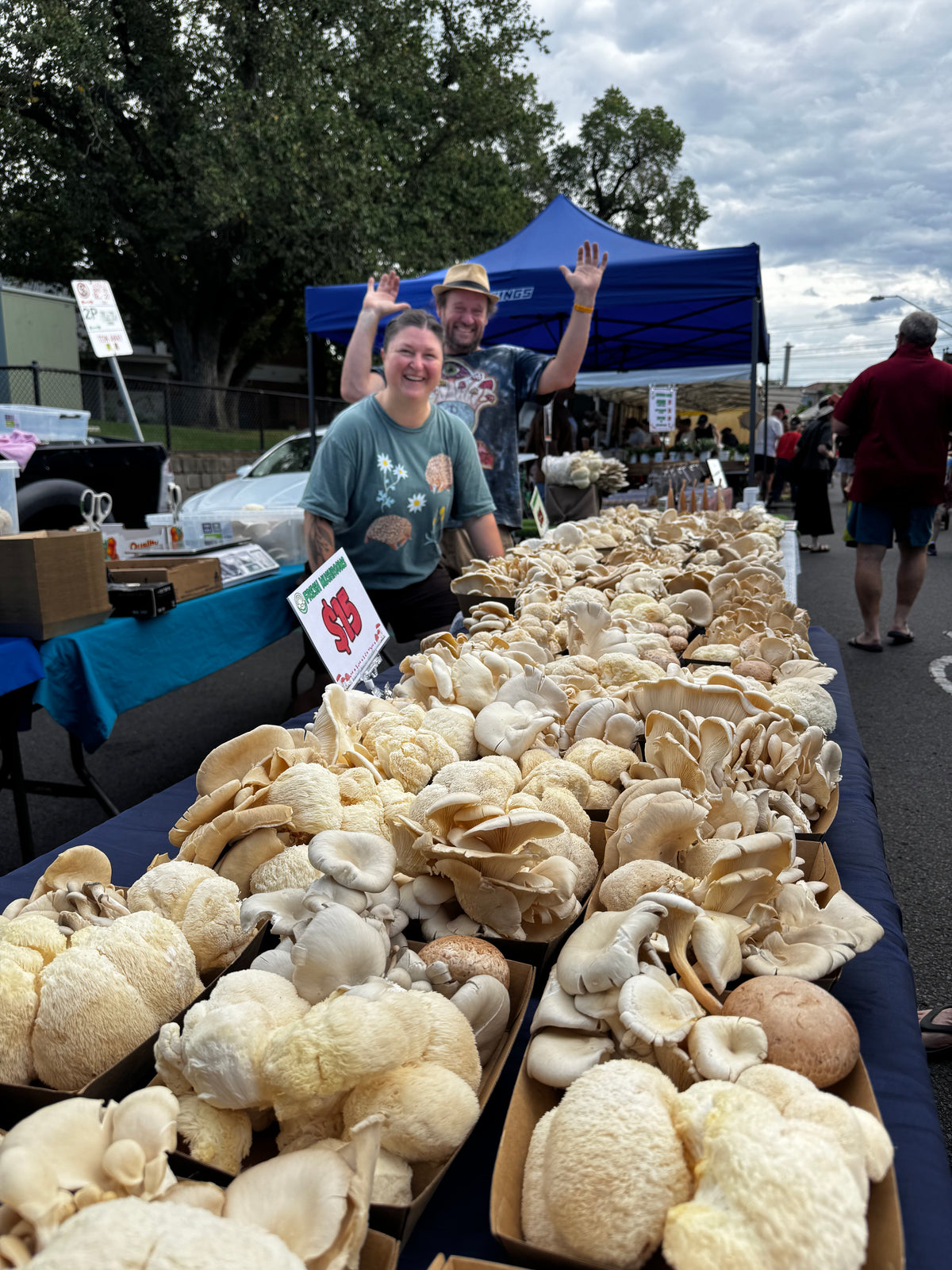 1kg Mixed Mushroom Bag – Lion’s Mane, Oyster & Swiss Brown (Fresh, Local)