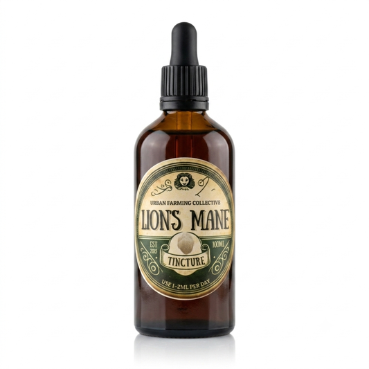 Lion's Mane Tincture