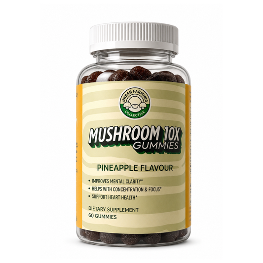 Magical Mushroom 10x Gummies